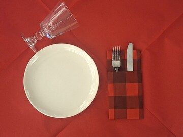 Fondo Rosso ⫸ 3-ply paper tablecloth in red