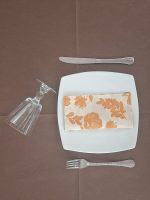 Mono Airlaid Garden-7